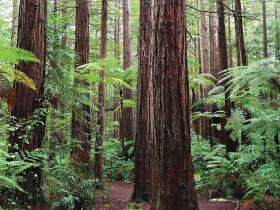 Environmental Area Interest