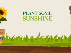 Editable Elements Image Design (1)