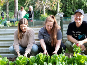 Carl Freeman garden HERO