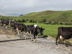 Hero Image NZ Cert Agriculture L4