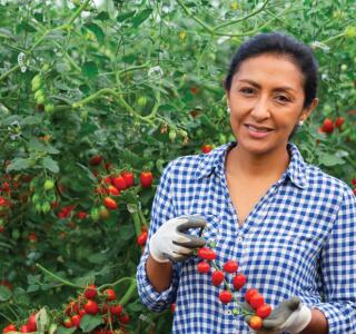 Hero Image NZ Cert Horticulture L3