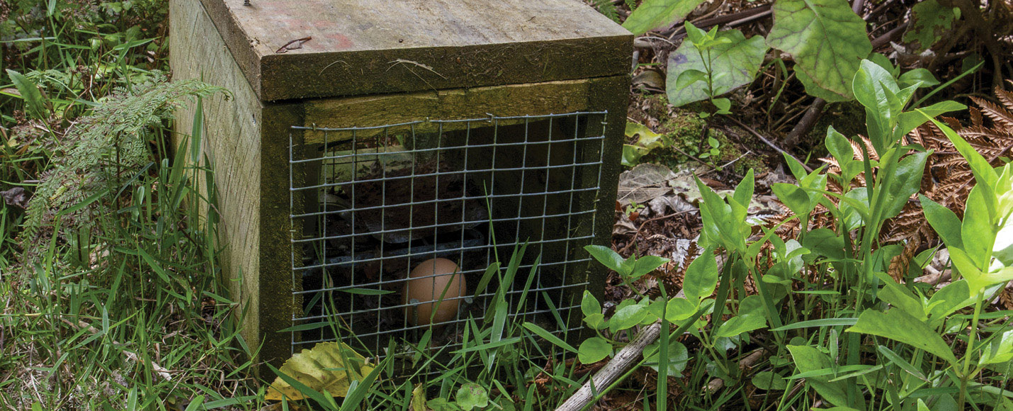 NZ Certificate in Pest Operations Level 3 WITT New Plymouth