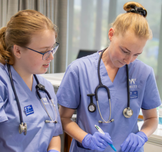 Nursing Hero v2