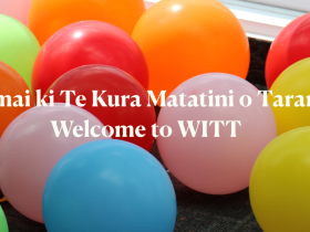 Welcome to WITT