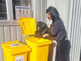 kaitiaking composting hero